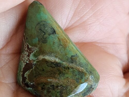 Polished Tibetan turquoise cabochon stone, 27 carats, displaying natural green and brown matrix patterns, held in hand for scale - gemstone collectible קבושון טורקיז טיבטי ישן מלוטש, 27 קארט, מציג דוגמות טבעיות של מטריקס ירוק וחום, מוחזק בידיים - אבן חן לאספנים