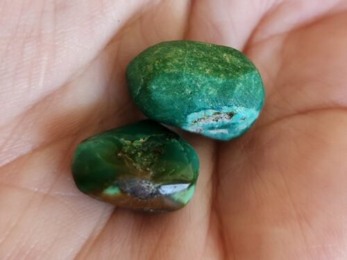 Two polished old Tibetan turquoise cabochons, 29 carats, hand-cut natural gemstones displayed in palm שני קבושוני טורקיז טיבטי ישן מלוטשים, 29 קארט, אבנים טבעיות גזורות בידיים המוצגות בכף יד