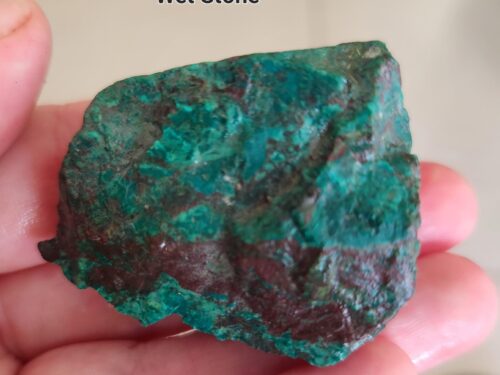 Eilat Stone Rough Semi polish , specimen natural stone , rare ,from King Solomon mine ,260ct